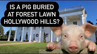 Is There a Pig Buried at Forest Lawn Hollywood Hills With All the Stars A Bizzare Cemetery Story [upl. by Allyson423]