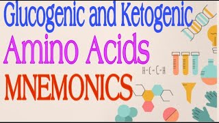 Glucogenic and Ketogenic Amino Acids MNEMONICS  Lecture 3 [upl. by Joyann]