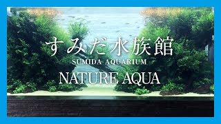 すみだ水族館 ネイチャーアクアリウム【NATUREA QUARIUM】 [upl. by Diannne685]