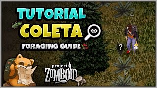 COLETA  Tutorial de Habilidades Project Zomboid  Foraging Guide [upl. by Lynnea]