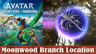 Avatar Frontiers of Pandora Moonwood Branch Location [upl. by Kaja]