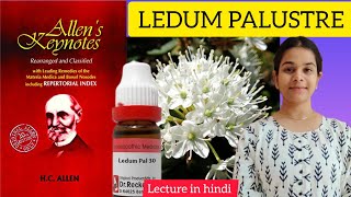 Best Homeopathic Medicine for Numbness  हाथ पैर में झनझनाहट और सुन्नपन की होम्योपैथिक दवा [upl. by Faso111]