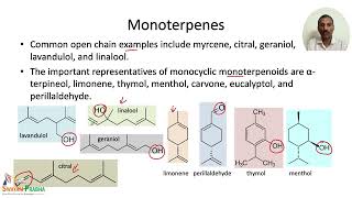 Terpenes Classification and Biosynthetic Pathways [upl. by Noicpecnoc]