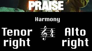 Praise  Harmony Tutorial [upl. by Eeluj]