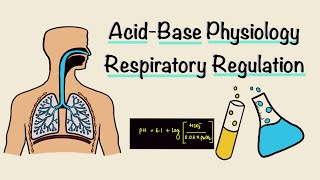 Acid Base Physiology  Part Two  Respiratory Regulation  Respiratory Physiology [upl. by Eniarol666]