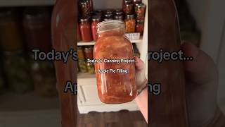 Today’s Canning Project  Apple Butter Gracewalkfarm [upl. by Adin830]