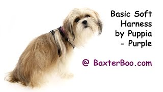 Basic Soft Harness by Puppia  Purple [upl. by Nylak267]