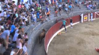 ASI SALTAN LAS VACAS DE ARRIAZU EN CERVERA DEL RIO ALHAMA LA RIOJA 26 07 2015 [upl. by Uriisa448]