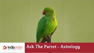 Ask The Parrot  Astrology  India Video [upl. by Elorac307]