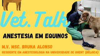 Vet Talk Anestesia em Equinos [upl. by Raviv]