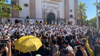 25 BANDAS TOCAN EL SINALOENSE EN CATEDRAL DE culiacán [upl. by Del]