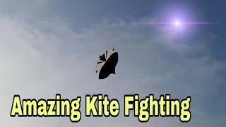 Lahore amazing kite fighting [upl. by Chrissy278]