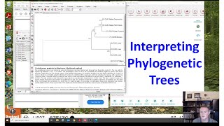 Interpreting phylogenetic trees [upl. by Miarzim]