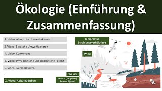 Ökologie EinführungZusammenfassung  Abitur Biologie Ökologie Oberstufe  110 [upl. by Aivart]