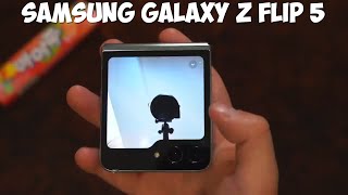 Samsung Galaxy Z Flip 5 первый обзор на русском [upl. by Turtle]