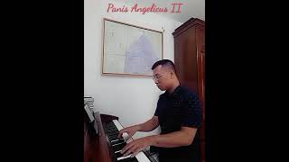 Organ  Panis Angelicus II [upl. by Indnahc]