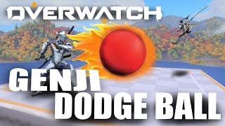 Worlds Best Genji Dodgeball Player [upl. by Sadoc469]