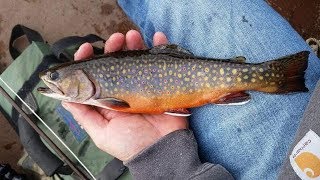 October 2017 Brook Trout FIshing in Maine [upl. by Beffrey]