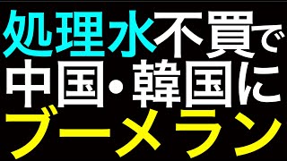 処理水不買運動。被害を受けるのは中国・韓国の方が大きい。中国は反政府運動に転換することを恐れ、韓国はかつての不買運動の苦い思い出が蘇る。非科学的だと、世界から孤立する両国はいつまでその恥に耐えられるか [upl. by Persons]