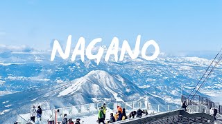 NAGANO JAPAN YAMANOUCHI Ryuoo Ski Park Sora Terrace Cafe [upl. by Nnaeilsel]