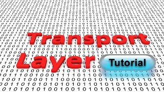 Transport Layer in OSI Model Tutorial transport layer in computer networks explained network layer [upl. by Ohce]