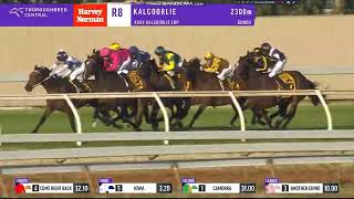 2024 Kalgoorlie Cup [upl. by Walther]