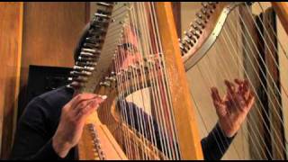 Harpist Jacques Vandevelde quot Melodia Nueva quot [upl. by Eniamor]