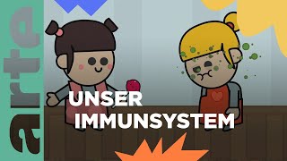 Wie funktioniert unser Immunsystem  Eure Fragen  ARTE Family [upl. by Alonso]