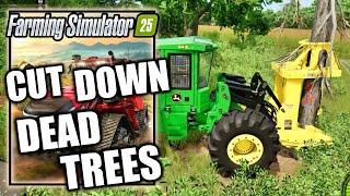 Farming Simulator 25 – Cut Down Dead Trees Contract Deadwood  Im Stumped Trophy [upl. by Josh512]