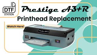 Prestige A3R Printhead Replacement  DTF Station [upl. by Bloem254]