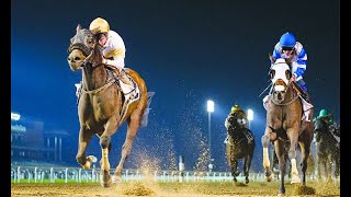 LIVE DubaiWorldCup 2022  9 races 305 million prize money  watch it all on DubaiOneTV DWC22 [upl. by Nikolai289]