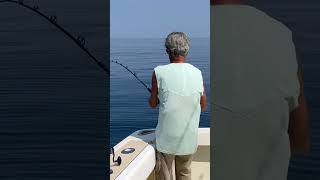 fishing mahimahi tilefish fish offshorefishing [upl. by Vernita]