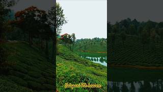 Valparai Tourist Places🌴 Valparai tourism valparai travellvillage shorts [upl. by Atiuqiram]