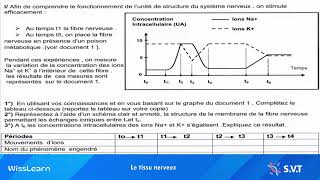 Correction exercice  SVT  Le tissu nerveux 🔴 [upl. by Llemaj]