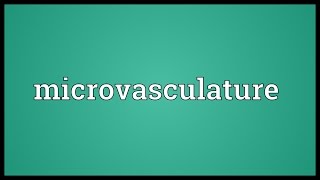 Microvasculature Meaning [upl. by Erastus44]