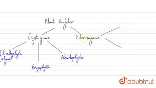 Cryptogamic plants are [upl. by Carleen]