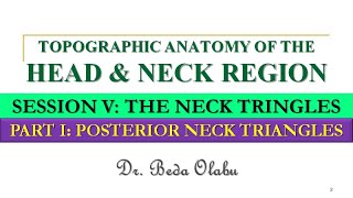 ANATOMY OF THE NECK TRIANGLES PART I  THE POSTERIOR NECK TRIANGLES AND THE SUBOCCIPITAL TRIANGLE [upl. by Ayotan720]