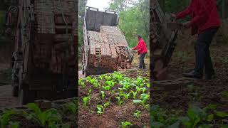 The process of unloading bricks by dump truck and worker [upl. by Olivier]