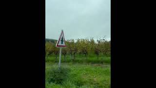 Driving in Dordogne Oct 2024 [upl. by Hsara]