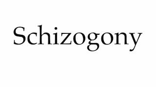 How to Pronounce Schizogony [upl. by Aelam203]