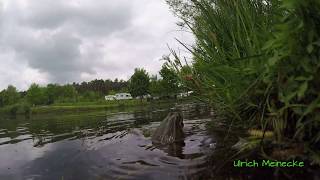 Brombachsee  WOMO Stellplatz aus der Froschperspektive  MotorhomePlace from the frog perspective [upl. by Ecidnarb859]