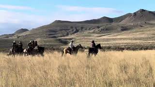 Antelope Island Bison Round Up Cowboy Scenes 2023 [upl. by Snow559]