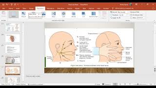 Head amp Neck Anatomy day 2 part C by Dr Farhat Amir [upl. by Eckel400]