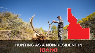 Hunt Idaho as a NonResident  Mastering the Draw [upl. by Egni]