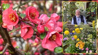 COGNASSIERS DU JAPON DES FLEURS À PROFUSION ET DES FRUITS COMESTIBLES Le Quotidien du Jardin N°352 [upl. by Asim835]