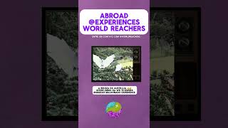 GET TO KNOW WORLD REACHERS internationalstudy abroad worldwidestudy [upl. by Nnyl]