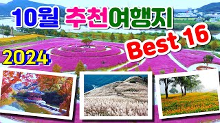 2024년 10월에 가면 좋은 국내 여행지 추천 Best 16 황매산 억새축제 합천 핑크뮬리 간월재억새 순창 강천산 진주남강축제 감악산 아스타국화 민둥산 억새축제 [upl. by Gnilsia]