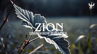 Zion  Soaking Worship Instrumental  Prayer and Devotional [upl. by Nodmac]