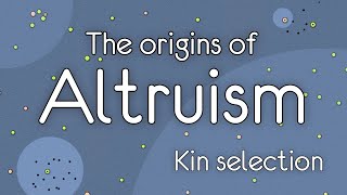 The Origins of Altruism Kin selection [upl. by Pappano]