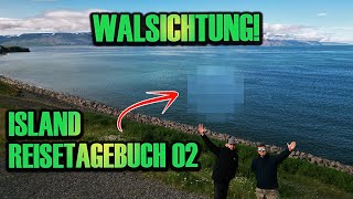 Walsichtung in Island  Island Reisetagebuch 2 [upl. by Abigael]